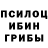 Галлюциногенные грибы мицелий Eugene Tokmashov