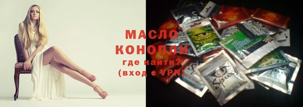 мдпв Краснослободск