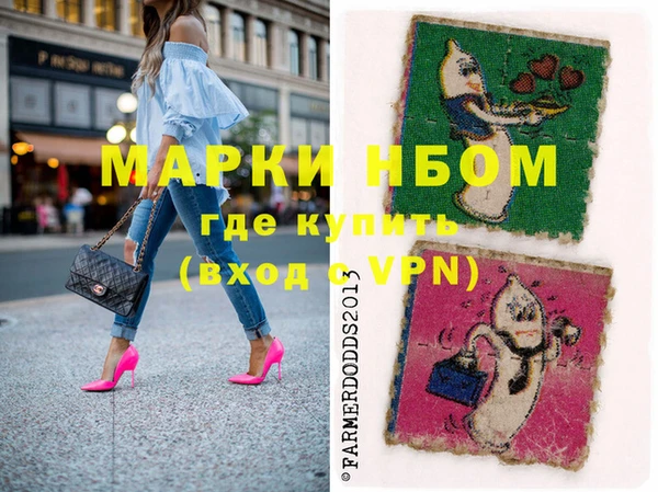 мдпв Краснослободск