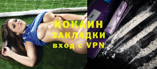 мдпв Краснослободск