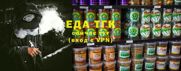 мдпв Краснослободск