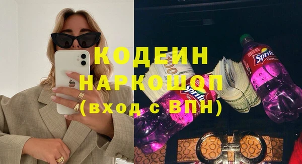 индика Коряжма