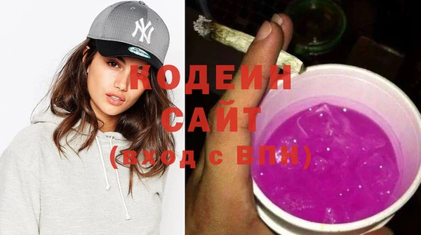мдпв Краснослободск