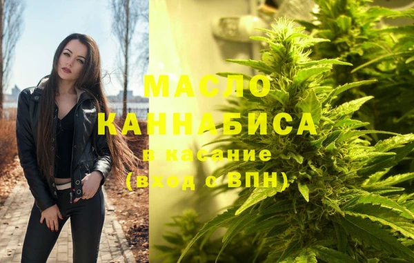 мдпв Краснослободск