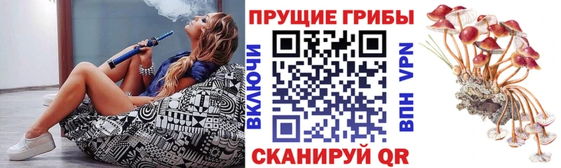 Псилоцибиновые грибы Cubensis Кушва
